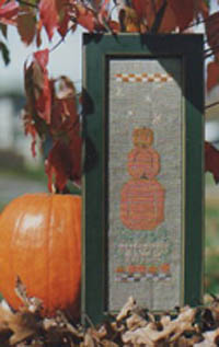 Pumpkin Patch