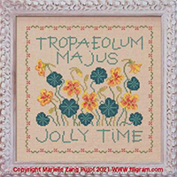Tropaeolum Majus