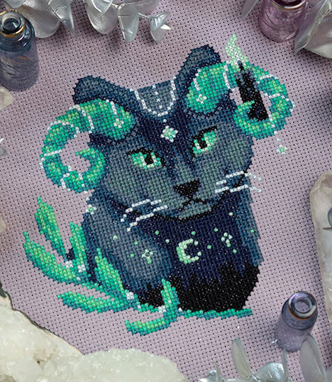 Night Guide Cat
