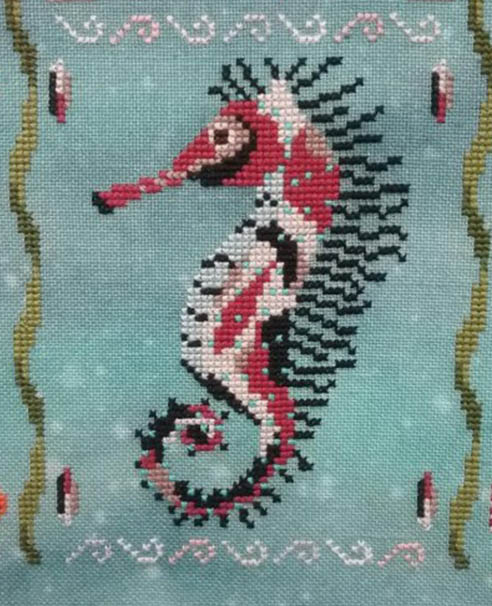 Year of the Seahorses #11 - November Chief