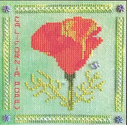 Heart Like a Wildflower #2 - California Poppy