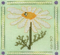 Heart Like a Wildflower #7 - Daisy