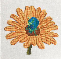 Bugs and Blooms 2: Junebug and Blackeyed Susan