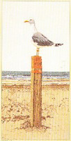 Seagull Lookout Kit