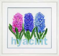Hyacinth Kit