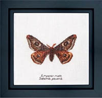 Emperor Moth Kit