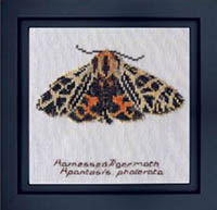 Harnessed Tiger Moth Kit
