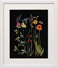 Wildflowers Kit