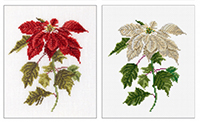 Poinsettia Kit