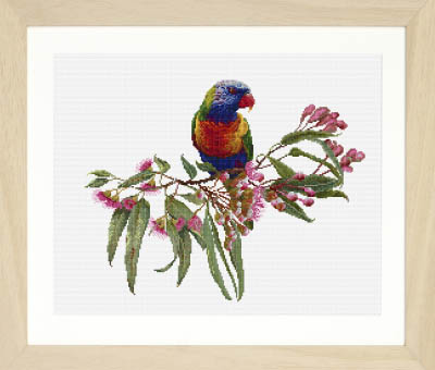 Parrot In Bloom Kit