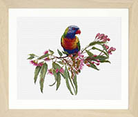 Parrot In Bloom Aida Kit