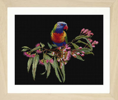 Parrot In Bloom Black Kit