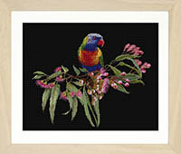Parrot In Bloom Black Kit