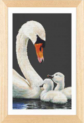 Swans & Cygnets Kit (Aida)