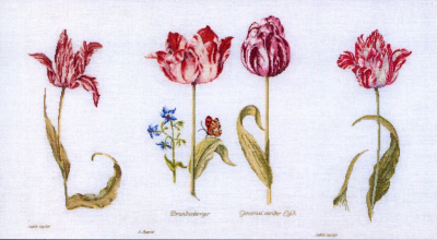 Tulips Jacob Marrell/Judith Leyster 16th Century Kit