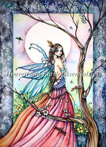 Dragonflies Whisper