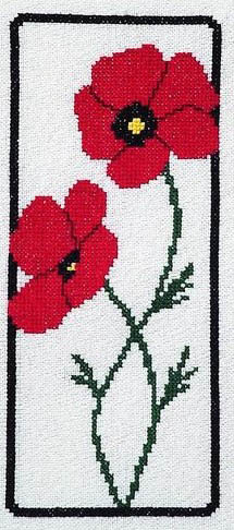 Poppies In A Frame