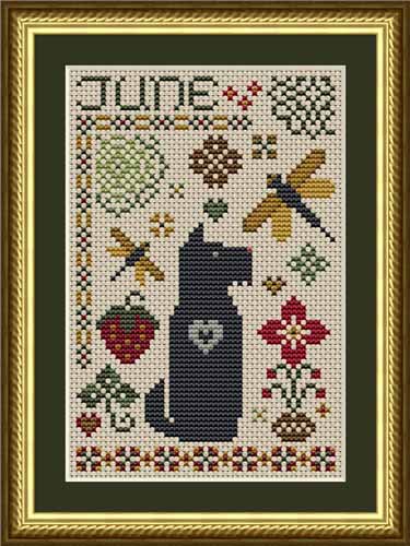 Dog Days: Scottie June Dog