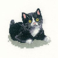 Little Friends - Black & White Kitten 