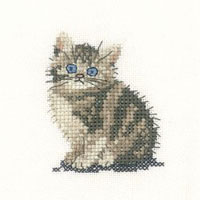 Little Friends - Tabby Kitten