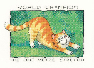Cats Rule - One Metre Stretch
