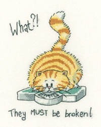 Cats Rule - What?