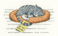 Cats Rule - Do Not Disturb 