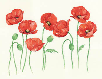 Sue Hill Flowers - Poppies