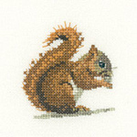 Little Friends - Red Squirrel