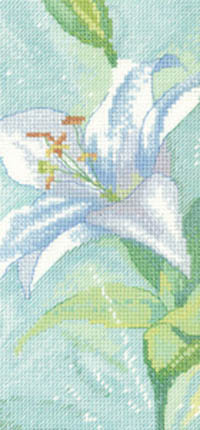 Sue Hill Flowers - Lily A