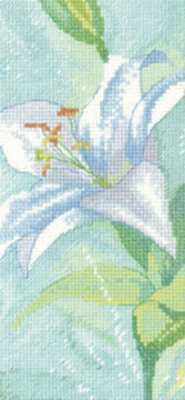 Sue Hill Flowers - Lily A