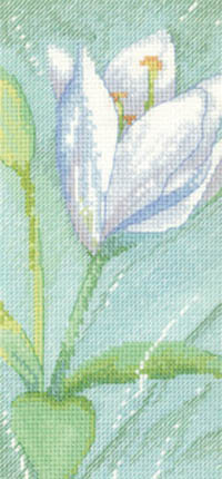 Sue Hill Flowers - Lily B
