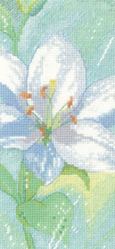 Sue Hill Flowers - Lily C