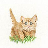 Little Friends - Ginger Kitten Kit