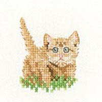 Little Friends - Ginger Kitten