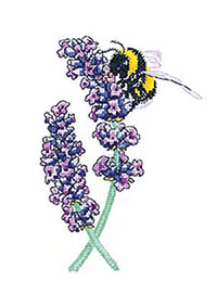 Lavender Bee