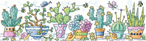 Cactus Garden Kit