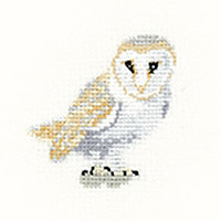 Little Friends - Barn Owl