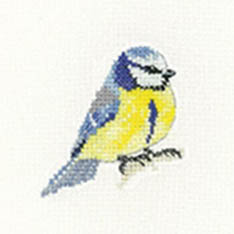 Little Friends - Blue Tit