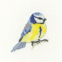 Little Friends - Blue Tit