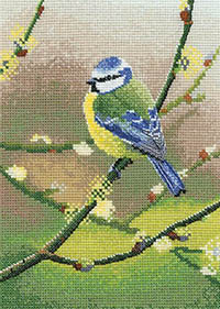 Blue Tit by Nigel Artingstal Kit