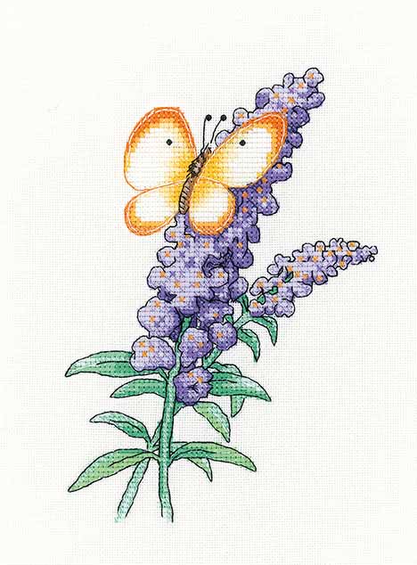 Buddleia Butterfly Kit