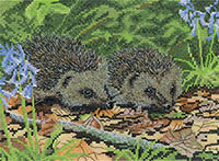 Hedgehogs In Spring Kit