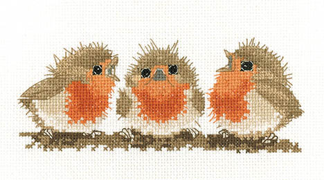 Ruffled Robins