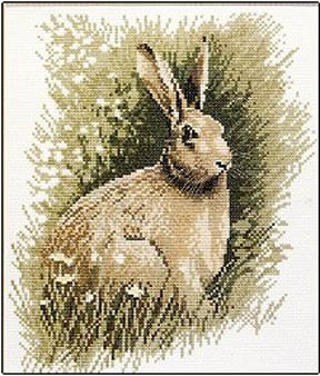 Wildlife Collection - Brown Hare