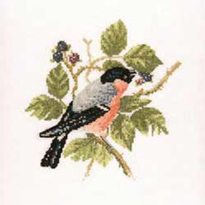 David Merry Collection - Bull-finch