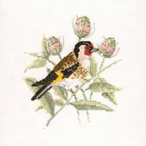David Merry Collection - Goldfinch