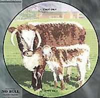 Circles - No Bull