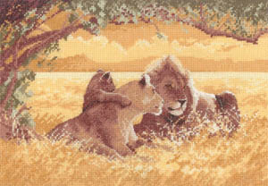 Lions - Power & Grace  Kit