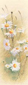 Flower Panels - Daisies 